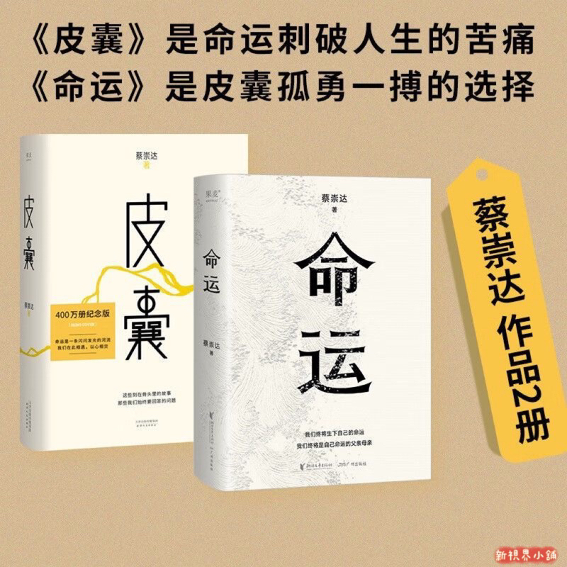 命運+皮囊（蔡崇達作品 小說質感的散文集）附雲端發票 是命運刺破人生的痛哭 是皮囊孤勇一搏的選擇（簡體中文） | 蝦皮購物