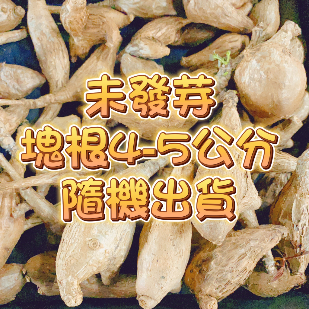 ↠有植感↞ 奇異油柑 一物一拍Phyllanthus mira…
