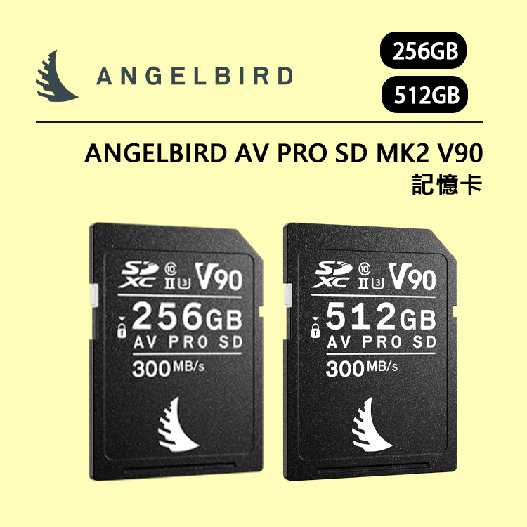 ANGELBIRD 256GB AV PRO MICRO SD V30 - 11