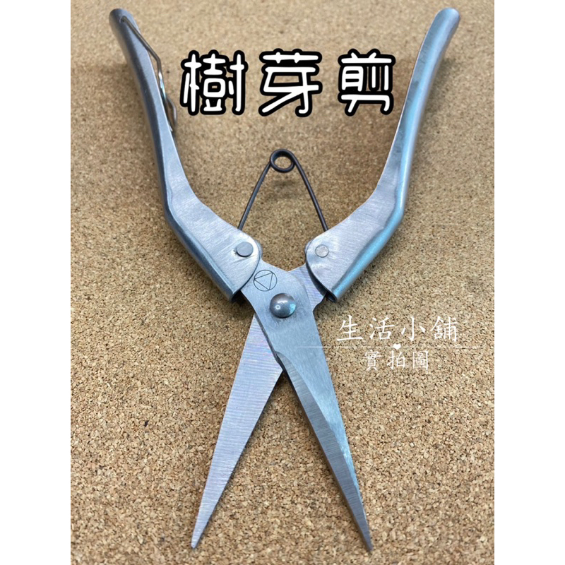 現貨 鑫吉美 不鏽鋼芽剪 樹枝剪 樹芽剪 剪刀 花剪 芽剪 花枝剪 果樹剪 園藝剪 | 蝦皮購物