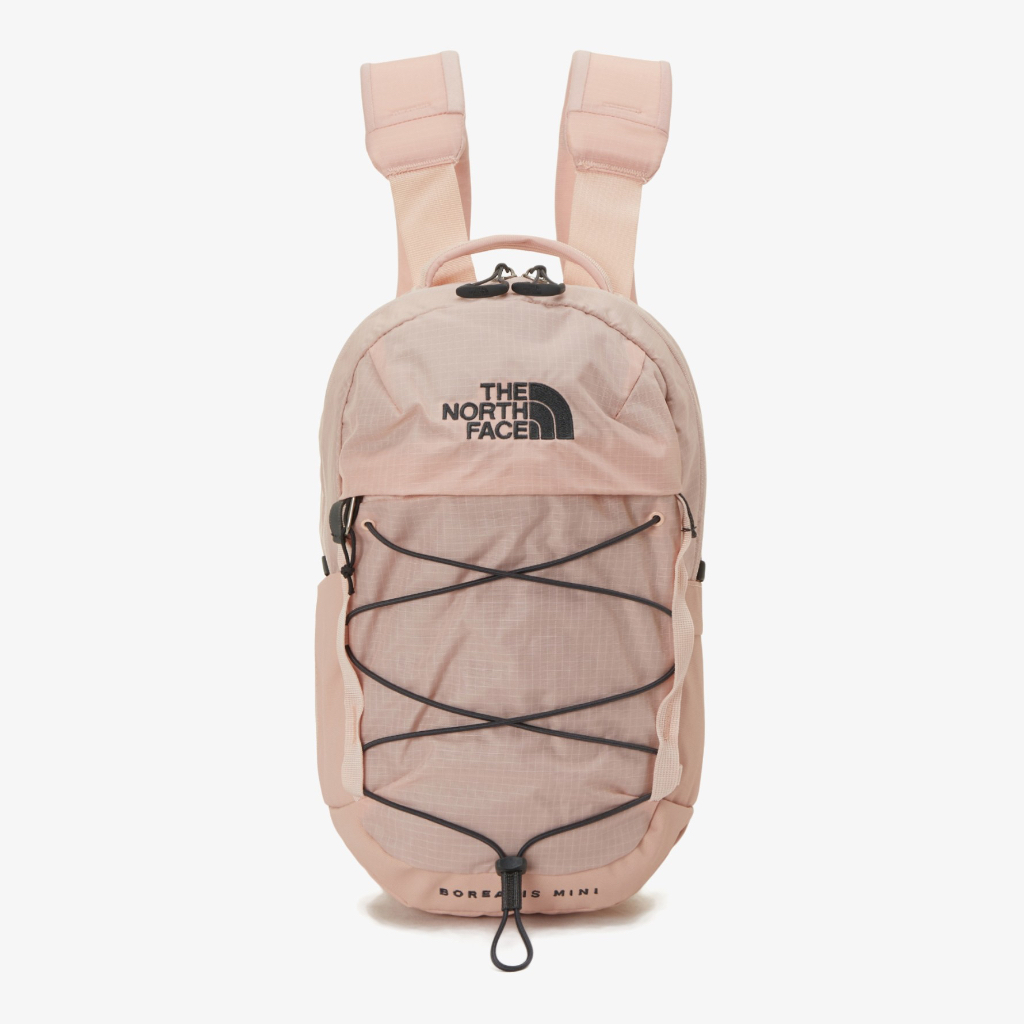 The north sale face mini backpack