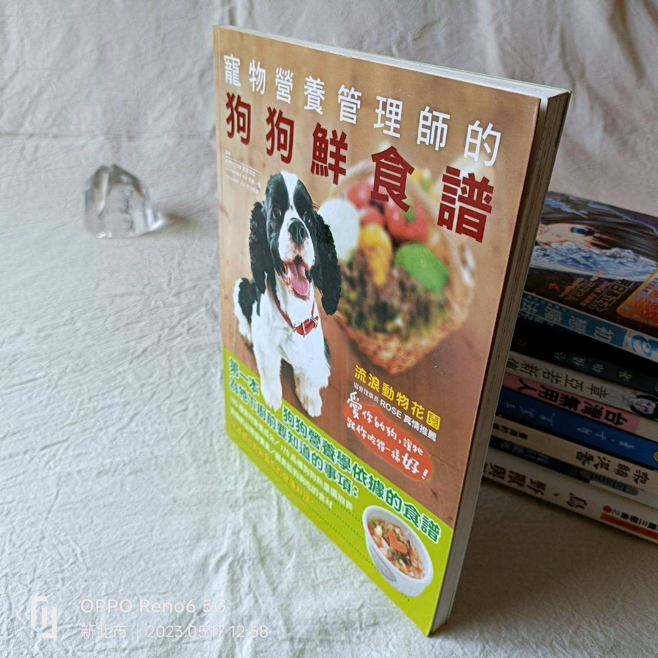 2023年12月|　優惠推薦-　家畜-　蝦皮購物台灣
