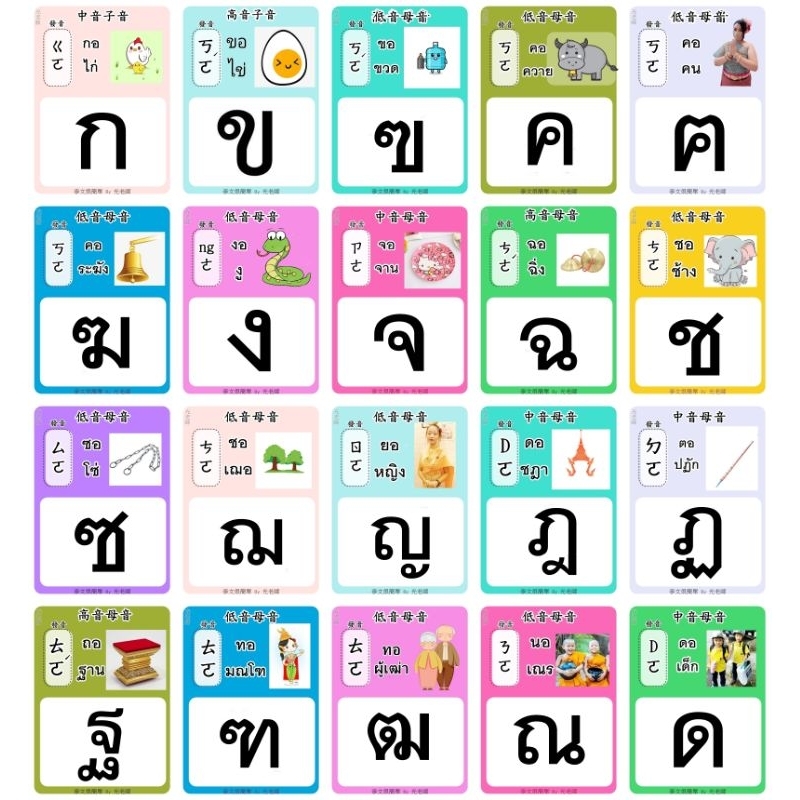🪷泰文很簡單🪷，泰文字母，泰文學習，泰語字母44張 160g紙+護貝 | 蝦皮購物