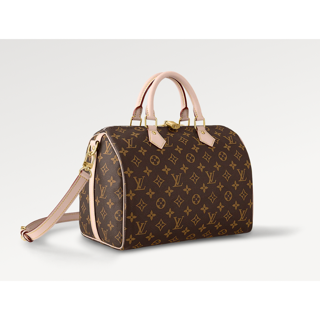 Lv speedy 30 price new arrivals