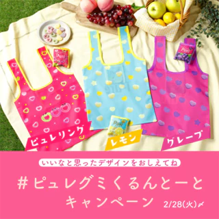 🌲台灣現貨當日寄出🌲日本限定扭蛋PURE軟糖造型摺疊環保袋 購物袋 隨身袋 手提袋(不含扭蛋殼)