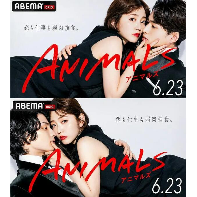 2022日劇 動物 ANIMALS DVD 鈴木愛理白洲迅 高清 全新 盒裝 2片 | 蝦皮購物