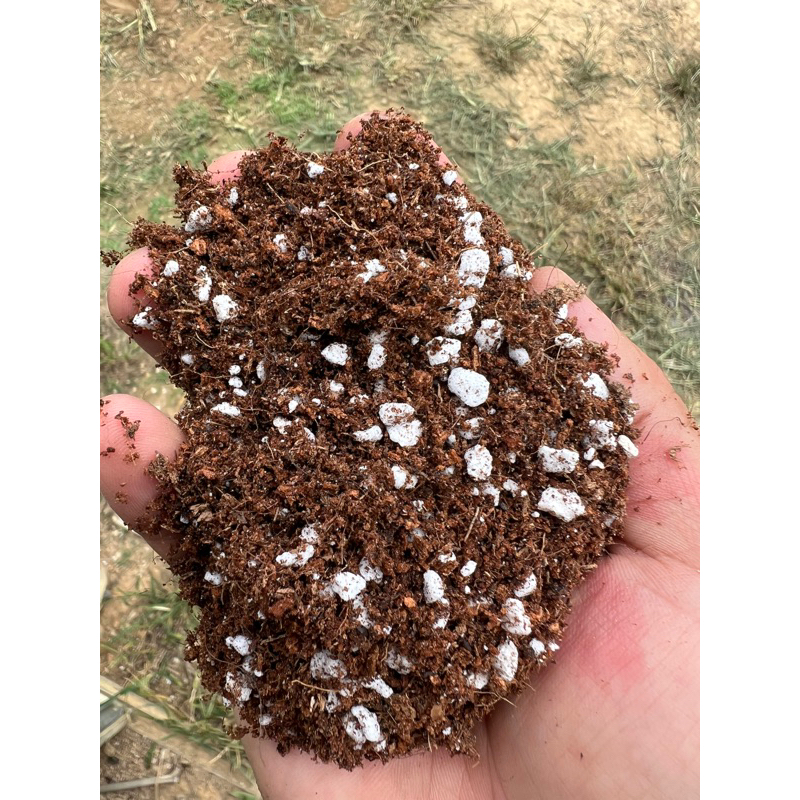 【花痴植人】超商免運 雞蛋花專用土 Potting Mix Soil for Plumeria 蝦皮購物