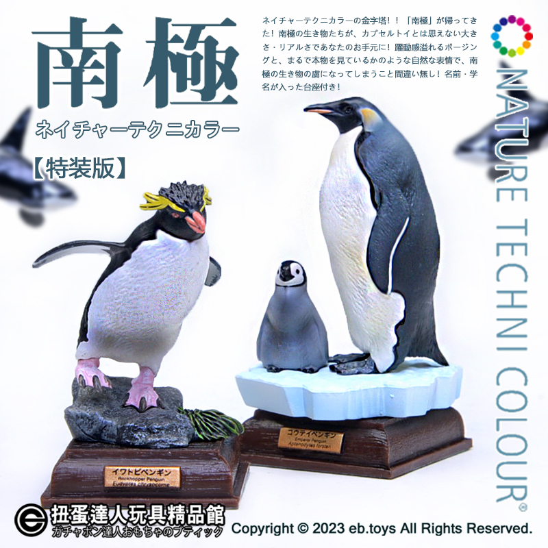 ネイチャーテクニカラー 南極 イワトビペンギン 耐えれ