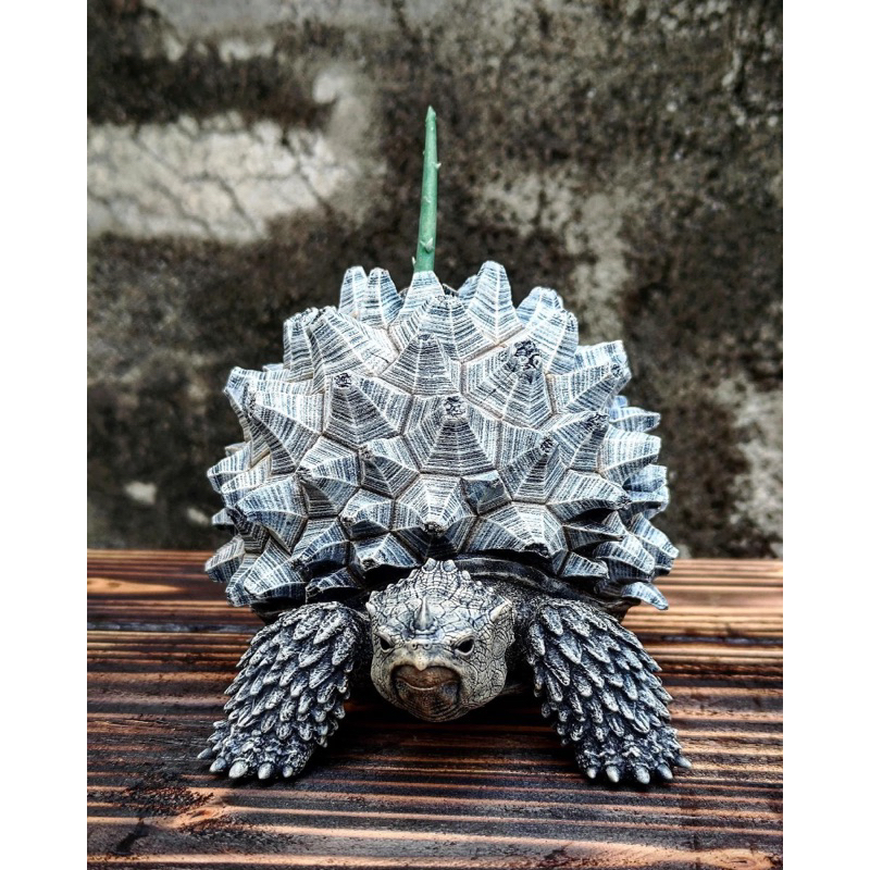 Ozwrt/Dioscorea Tortoise限量商品少量釋出| 蝦皮購物