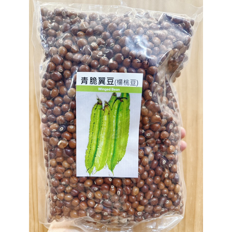 原包裝 1台斤 青脆翼豆種子 約2200粒 楊桃豆種子 翼豆種子 意豆種子 億豆種子 楊桃豆種子 豆子種子 翼豆種子 | 蝦皮購物