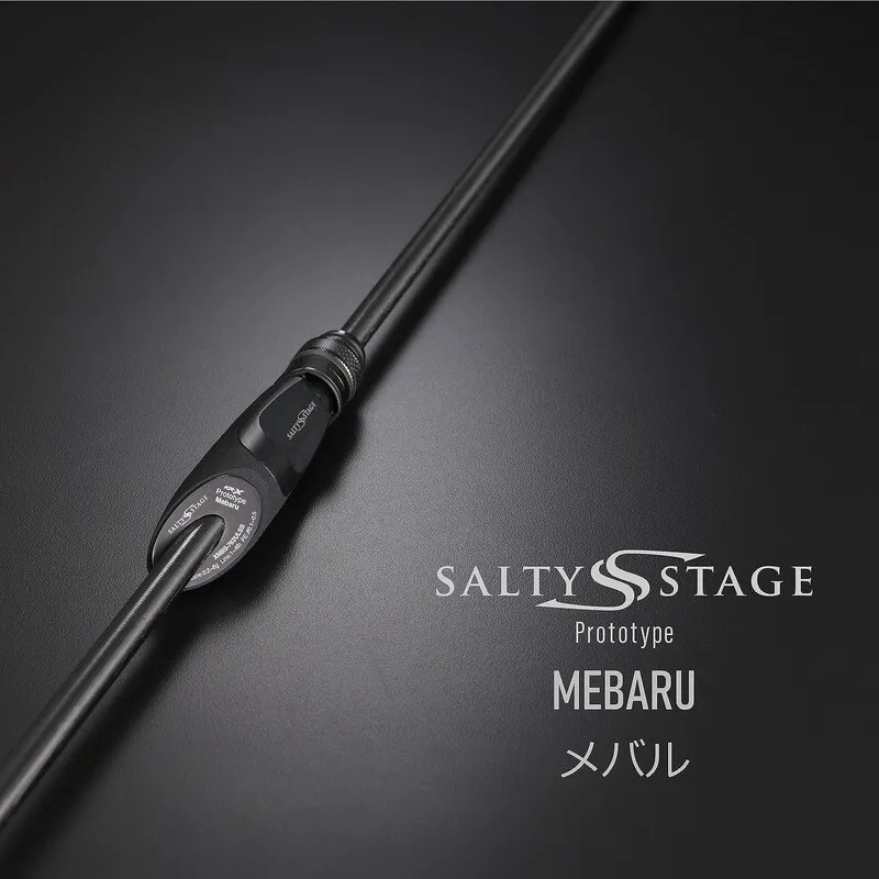 Bobine De Pêche Abu Garcia Salty Stage Concept Free - Poignée Droitier Incluse - Poids 220g - Neuf Sous Blister