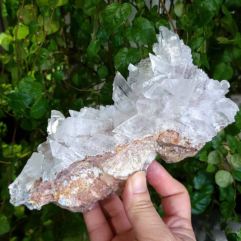 210水晶花園－礦晶－貴州石膏石膏簇透石膏| 蝦皮購物