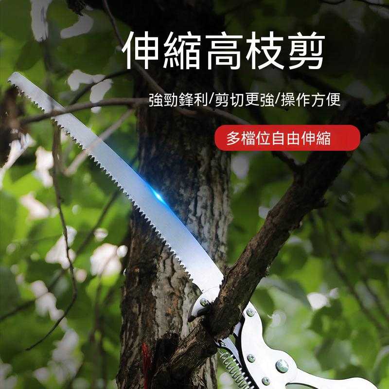 進口高枝剪伸縮高空修枝剪鋸樹枝修剪果樹專用修枝剪刀香椿槐花剪 | 蝦皮購物