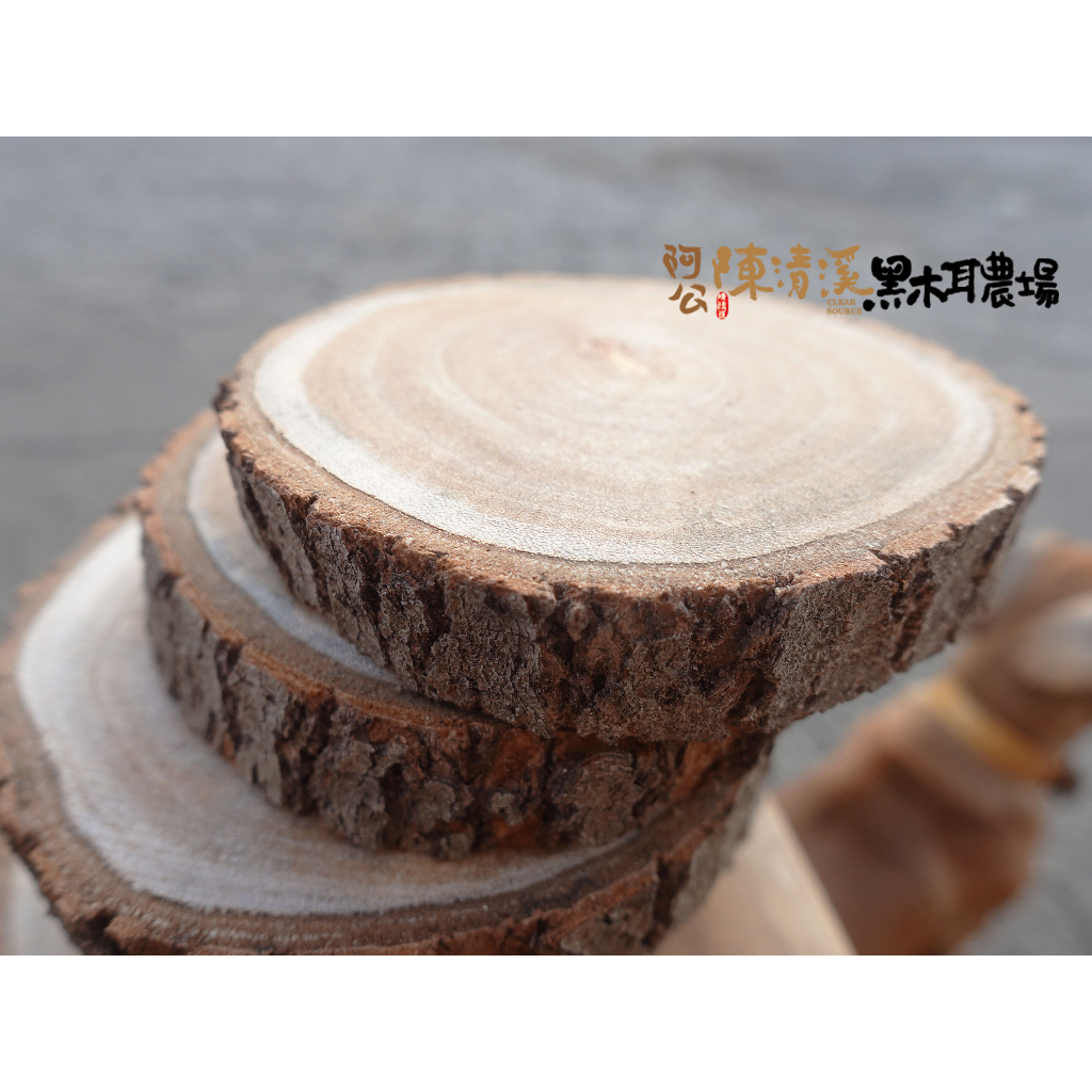 【樟木片】台灣香樟原木/原木/木頭杯墊/樟木底座/天然精油香 | 蝦皮購物