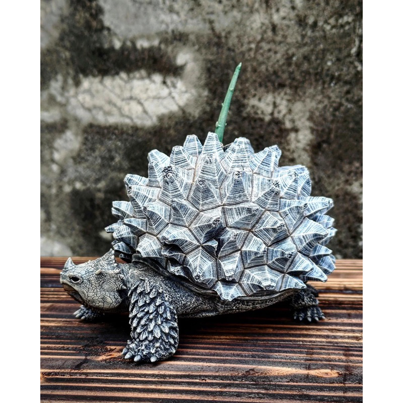 Ozwrt/Dioscorea Tortoise限量商品少量釋出| 蝦皮購物