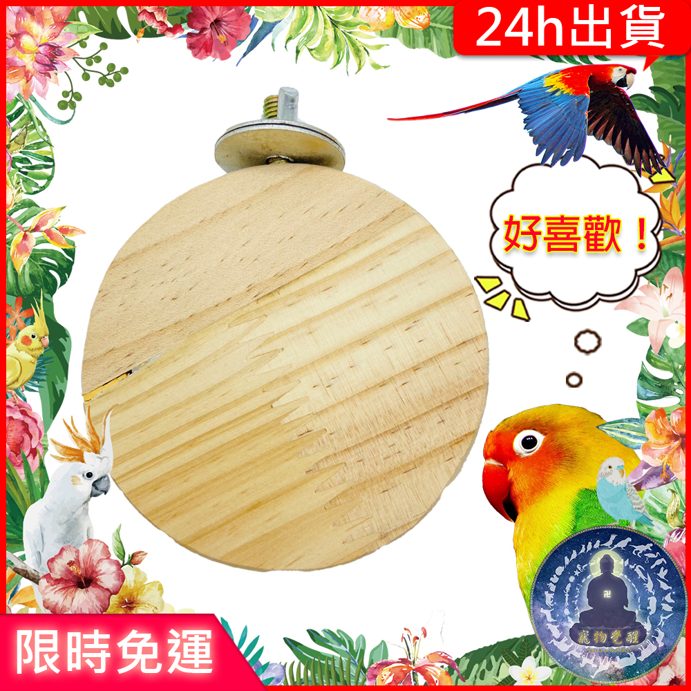 鸚鵡平台- 優惠推薦- 2026年1月| 蝦皮購物台灣