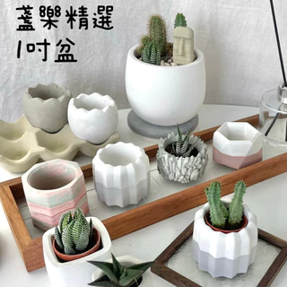 時代水盤 花盆 花器 盆器 塑膠水盤,花盆器皿,花束園藝,修繕園藝- momo購物網- 好評推薦-2025年11月