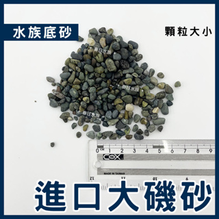 現貨【春日水族】零售孔雀魚專用底砂進口大磯砂馬侖砂pH7.5~7.8 穩定pH