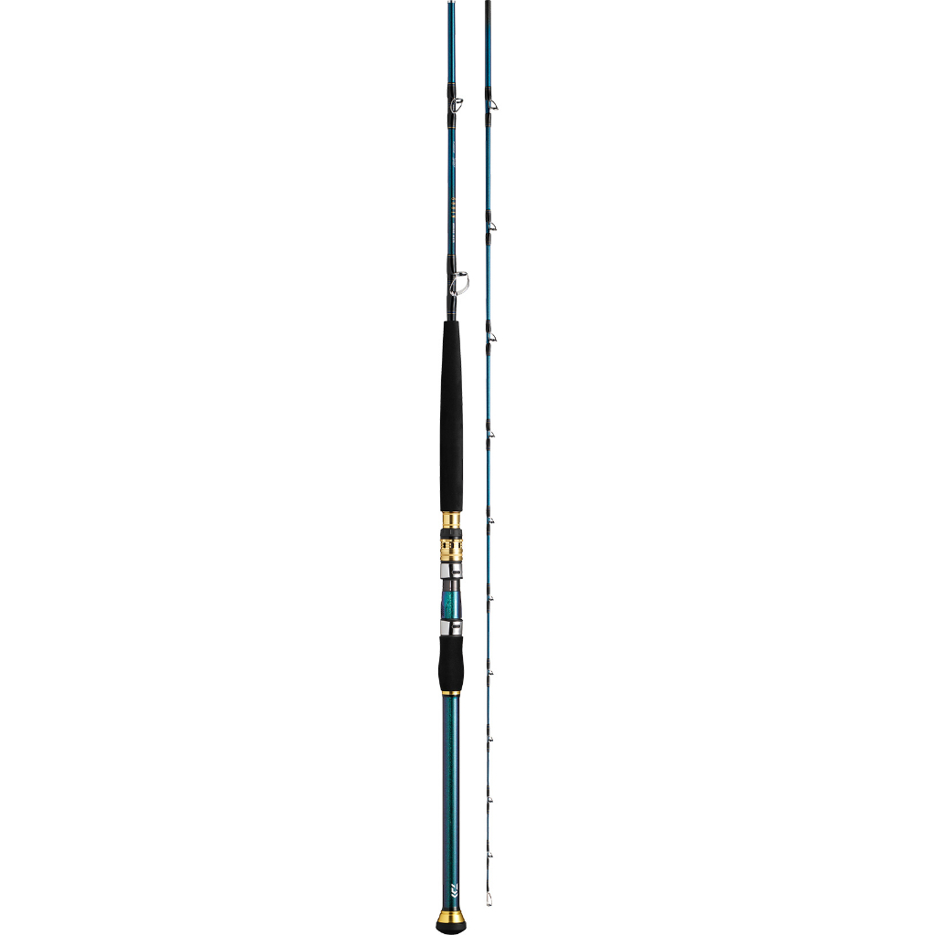 光輝釣具】DAIWA GOUIN AOMONO H-235Q / H-235E (6/4調) 船釣竿船竿