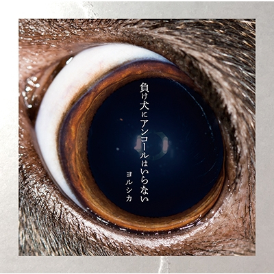 九五樂府】日版☆ヨルシカYorushika☆負け犬にアンコールはいらない☆n