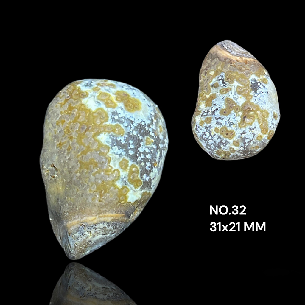 九眼石頁岩文石蒙天珠奇特眼睛石原礦左旗天眼石魚子石阿拉善蒙古瑪瑙