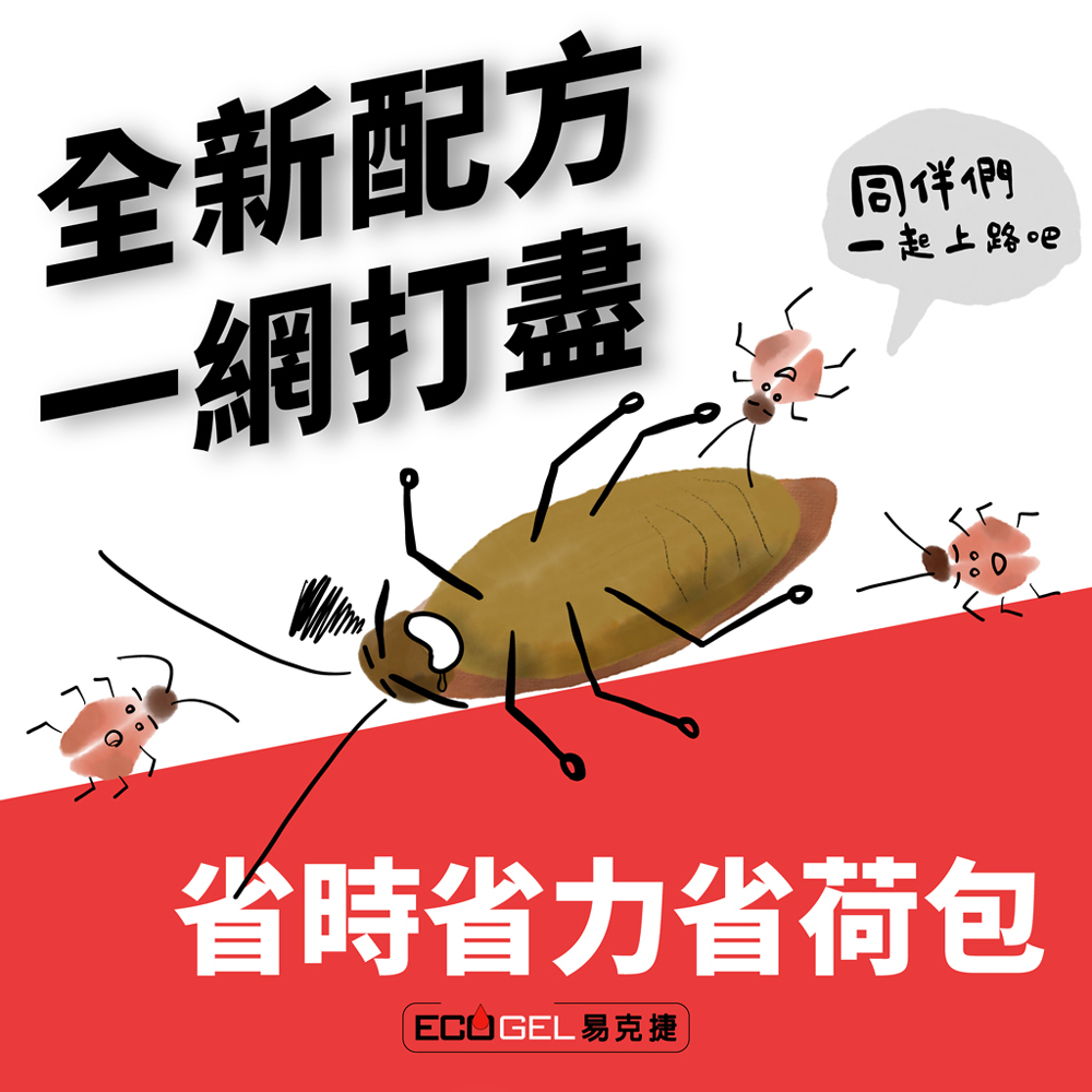 ECOGEL易克捷除蟑除蟻盒15公克任選組