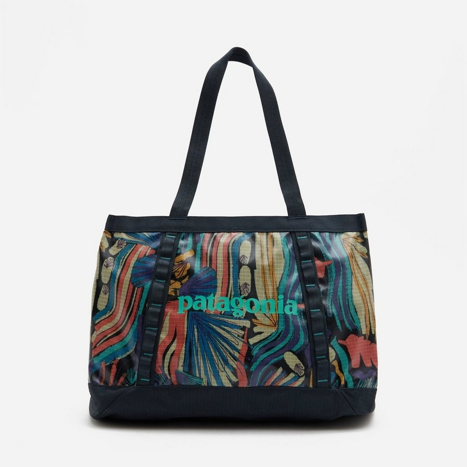 Ⓒ Patagonia - BLACK HOLE TOTE 25L 肩背托特包｜健身包｜育嬰包｜現貨