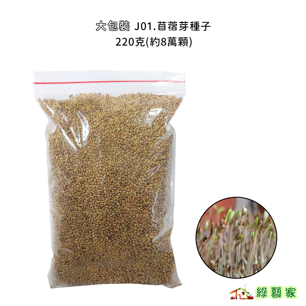 大包裝J01.苜蓿芽種子 多年生草本植物 似蘭葉草 耐乾旱 耐冷热 產量高而質優【綠藝家】 | 蝦皮購物