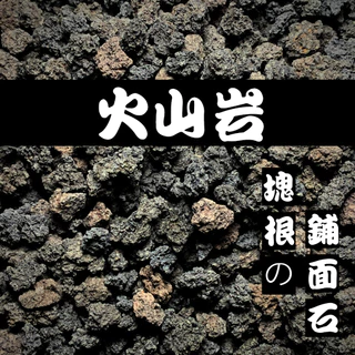 植陶Plant Pottery, 線上商店| 蝦皮購物