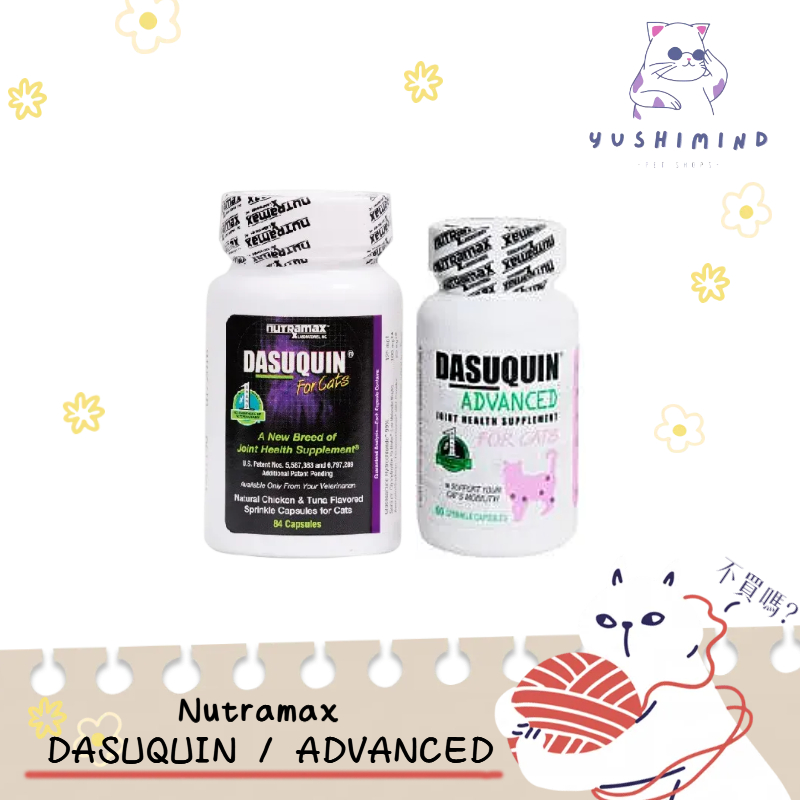 Dasuquin advanced for outlet cats