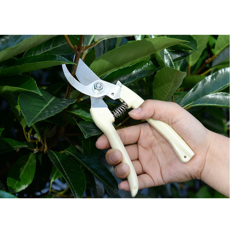園藝剪刀 高枝剪 花剪 修枝剪 果樹剪 花枝剪刀 粗枝剪刀 樹枝剪 剪定鋏 | 蝦皮購物