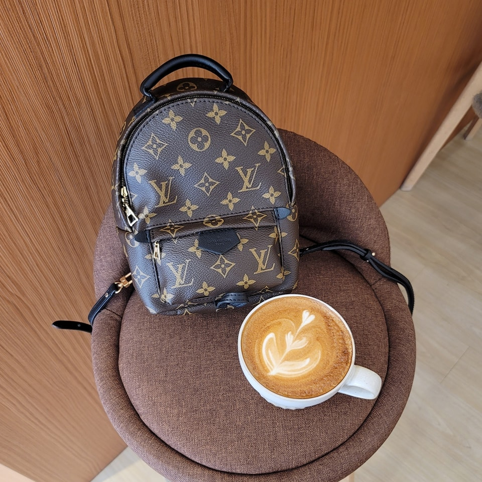 Lv backpack best sale palm spring mini