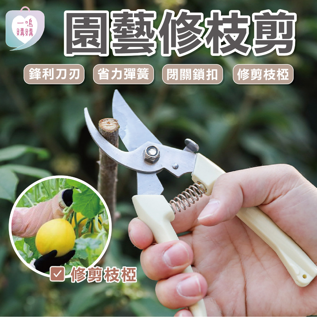【破盤出清】強力園藝剪刀 耐用園藝剪 剪定鋏 修枝剪 芽切剪 樹枝剪 園藝工具 花剪 園藝剪刀 堅固花藝剪 高枝剪 | 蝦皮購物