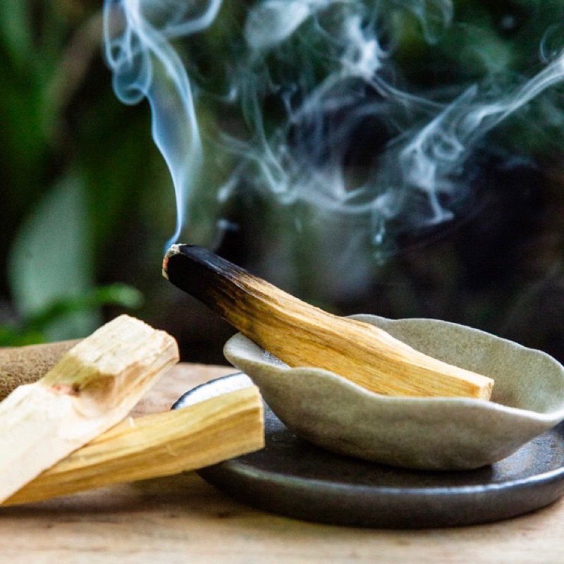 秘魯聖木 質地優良 聖木條 聖木 淨化 靜心 冥想 聖物 正能量 聖木陶盤 小陶盤 | 蝦皮購物