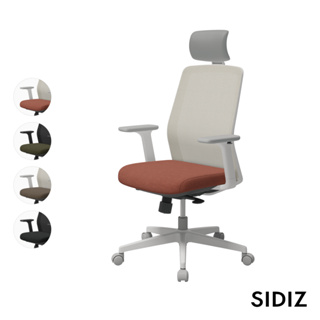 【SIDIZ】T40SE 人體工學椅辦公椅電腦椅(白框: 磚紅/咖啡; 黑框: 深灰 