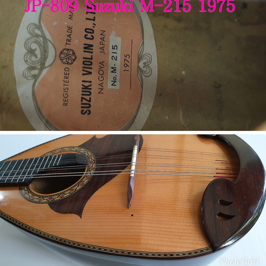 【2025年製 新品】 M-215 マンドリン バイオリン スズキ SUZUKI LTD （SUZUKI 1975 弦楽器