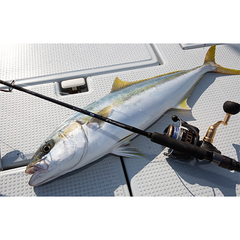 Daiwa Outrage 憤怒BR 鐵板竿船釣Jigging 鐵板鮪魚小搞搞白帶煙 Daiwa Outrage 憤怒BR 鐵板竿船釣Jigging 鐵板鮪魚小搞搞白帶煙