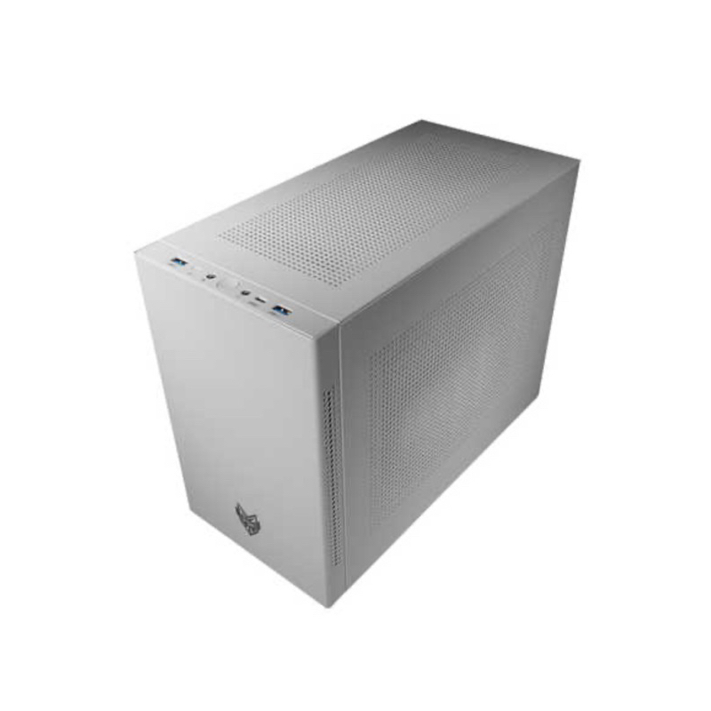 FSP 全漢CST350 白Type-C 240 水冷排風扇直立顯卡MATX ITX 電腦機殼