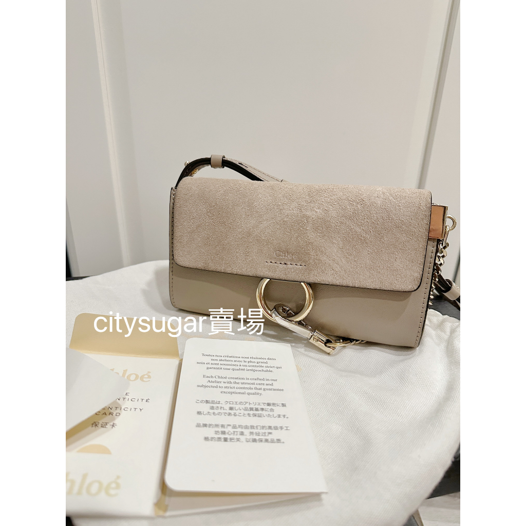 Chloe faye 2025 mini crossbody