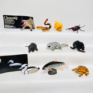 chocoq - 優惠推薦- 2025年4月| 蝦皮購物台灣