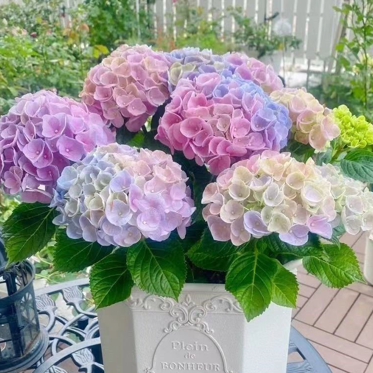 Beautiful spring purchase flowers near
