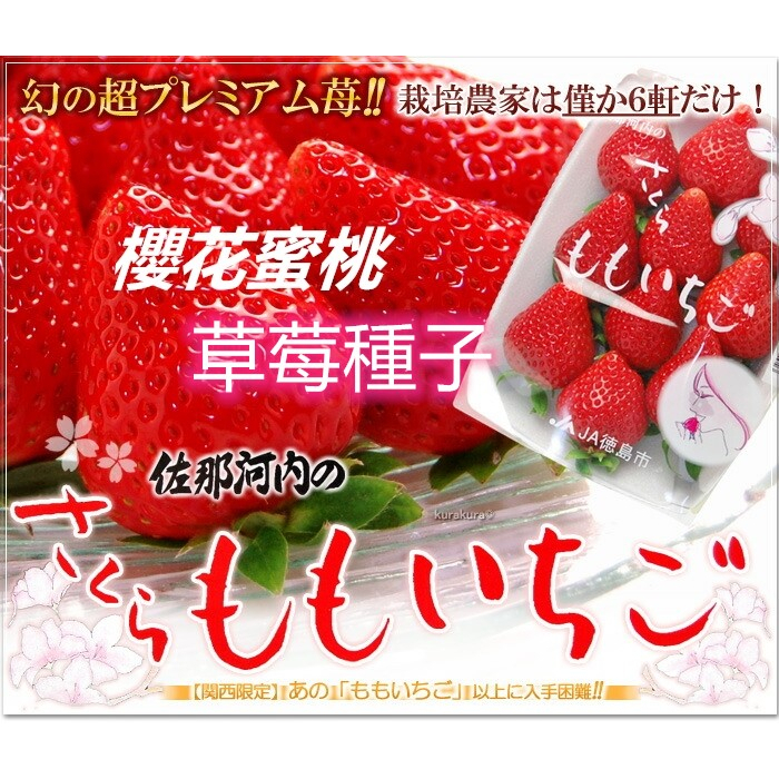 *****草莓種子12粒/袋|　正統日本草莓種子.　櫻花水蜜桃草莓(さくらもも*いちご)　蝦皮購物