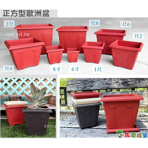 花園城堡】正方型歐洲盆6寸8寸1尺尺2 尺4 尺6 木本植栽| 蝦皮購物