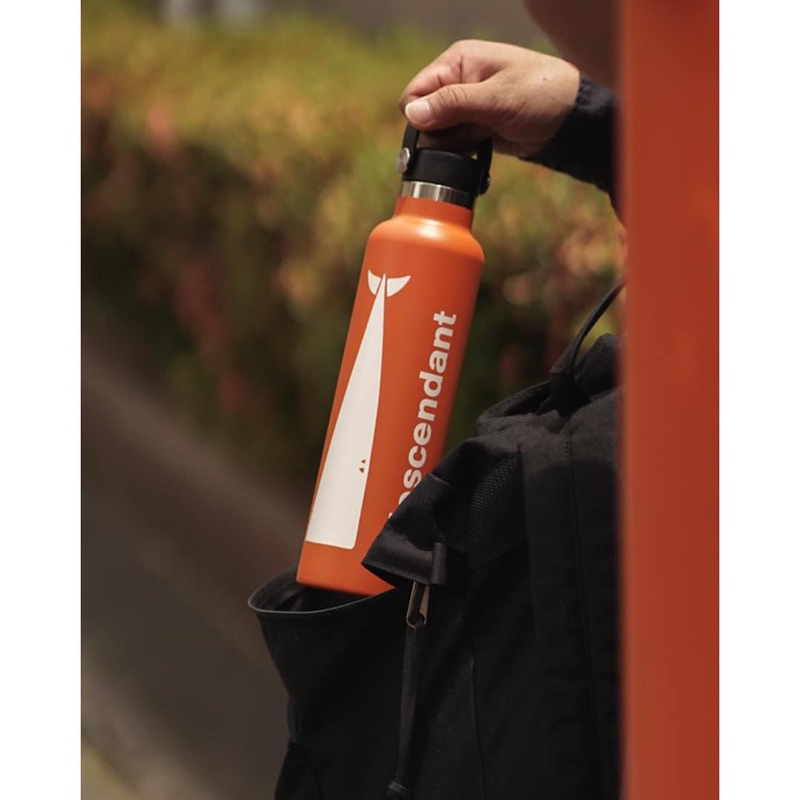 DESCENDANT 23SS CACHALOT STANDARD MOUTH HYDRO FLASK 鯨魚 水瓶