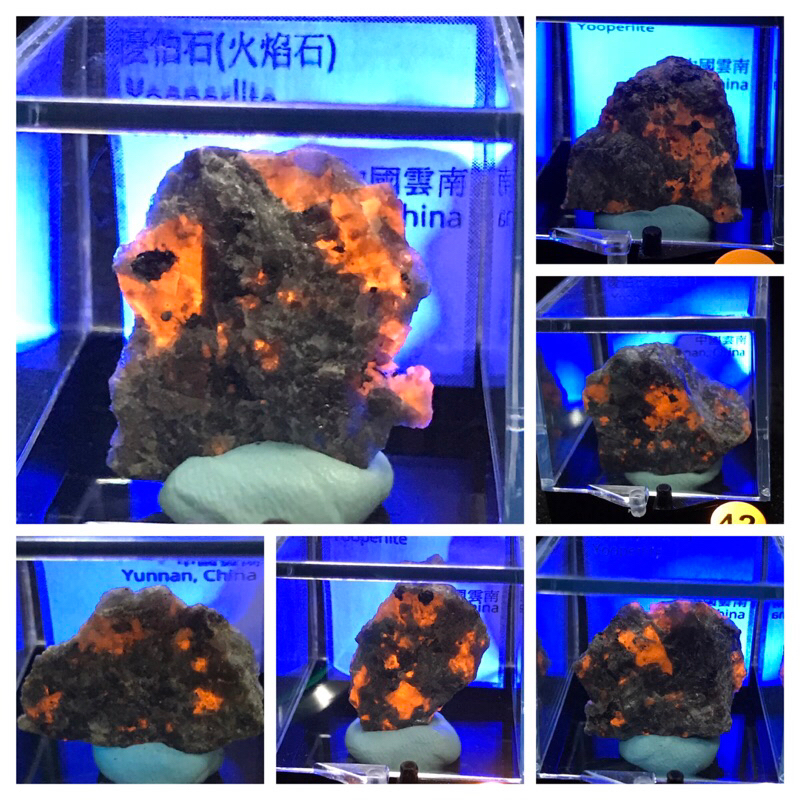 火焰石 優伯石 yooperlite 螢光礦物 3.4公分礦標盒裝 原礦礦標 | 蝦皮購物