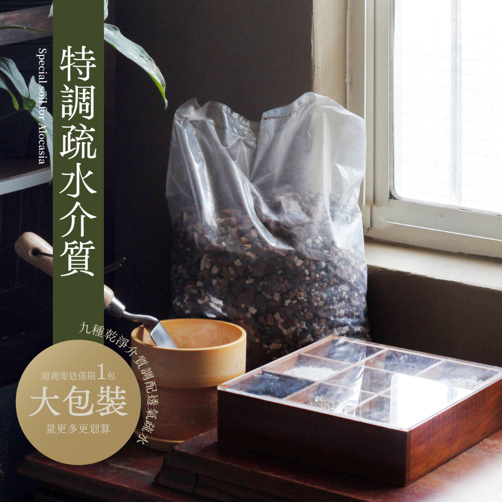 0123.studio植栽選物, 線上商店 | 蝦皮購物