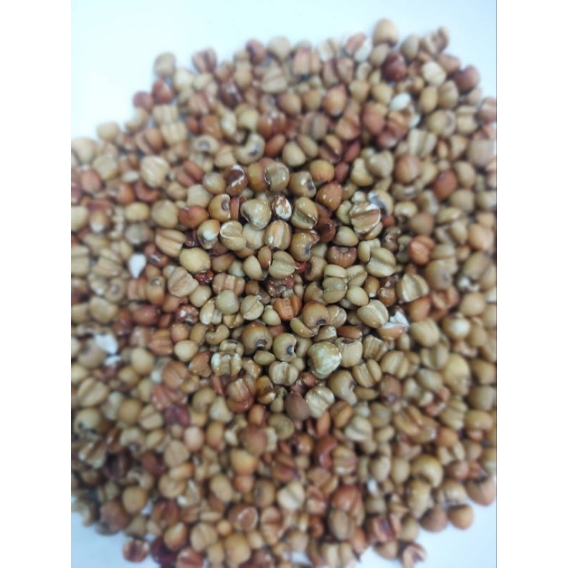 （金協和）紅薏仁600g 大顆紅薏仁1800g 漂亮的紅薏仁3000g 養生食品 養身食品 調味食品 | 蝦皮購物