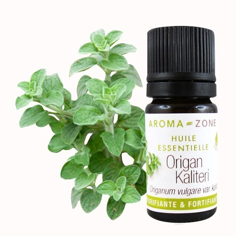 【精油】卡利特里 牛至 又稱稀有變種牛至 Origanum vulgare var. kaliteri〈法國Aroma- | 蝦皮購物