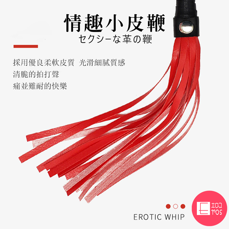 情趣小皮鞭 流蘇散鞭 打屁股 BDSM 角色扮演 調教 主奴遊戲 房事 情趣 成人用品 調教道具 皮鞭 綑綁 | 蝦皮購物