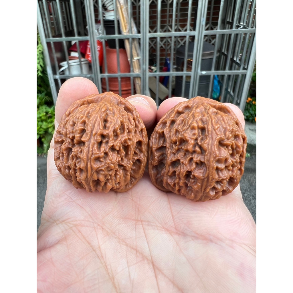南疆- 優惠推薦- 2026年7月| 蝦皮購物台灣